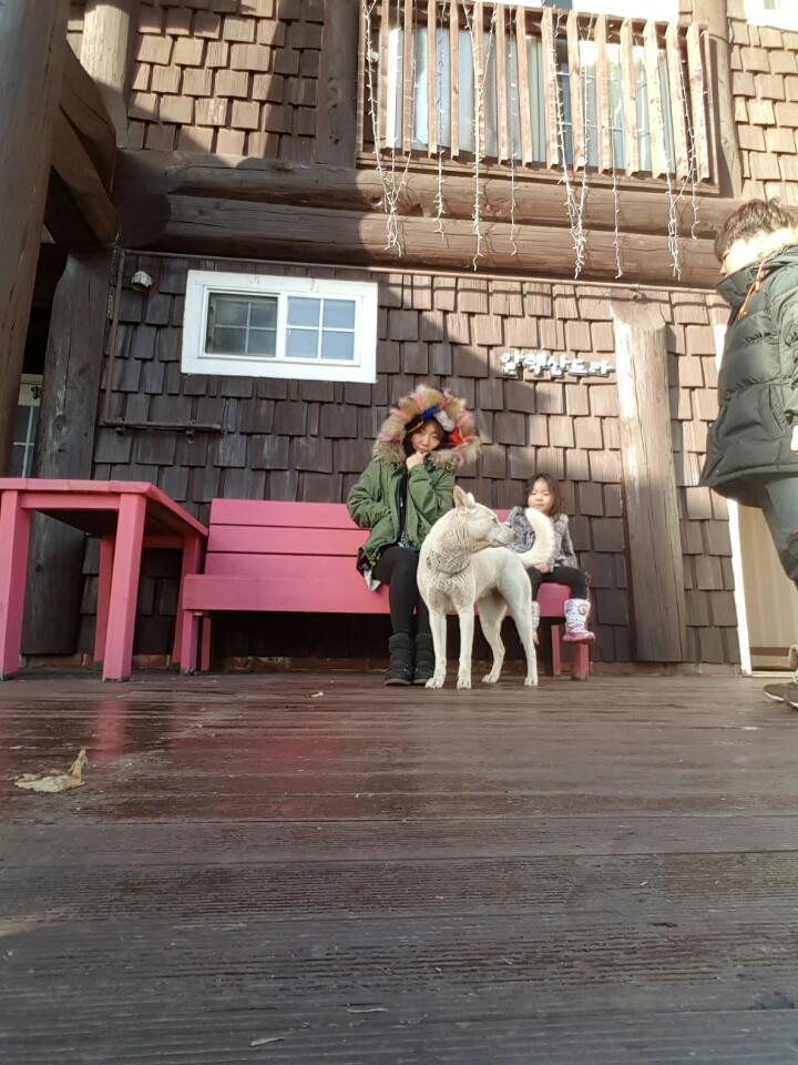 이즈바펜션 이미지