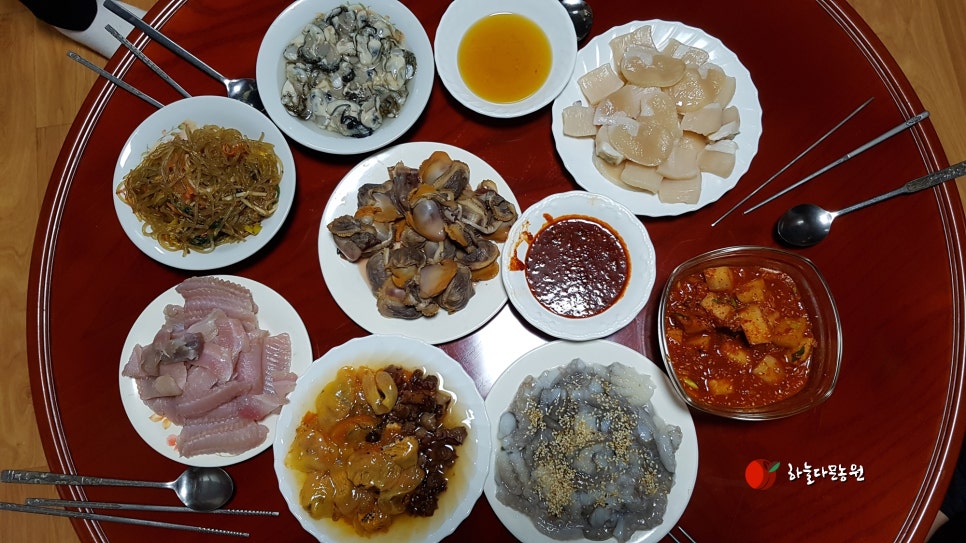 오늘다믄 이미지