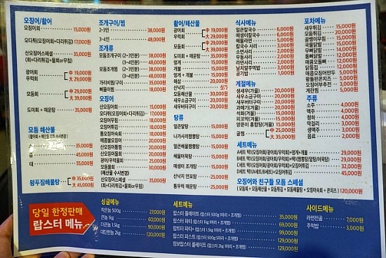 오징어 와 친구들 이미지