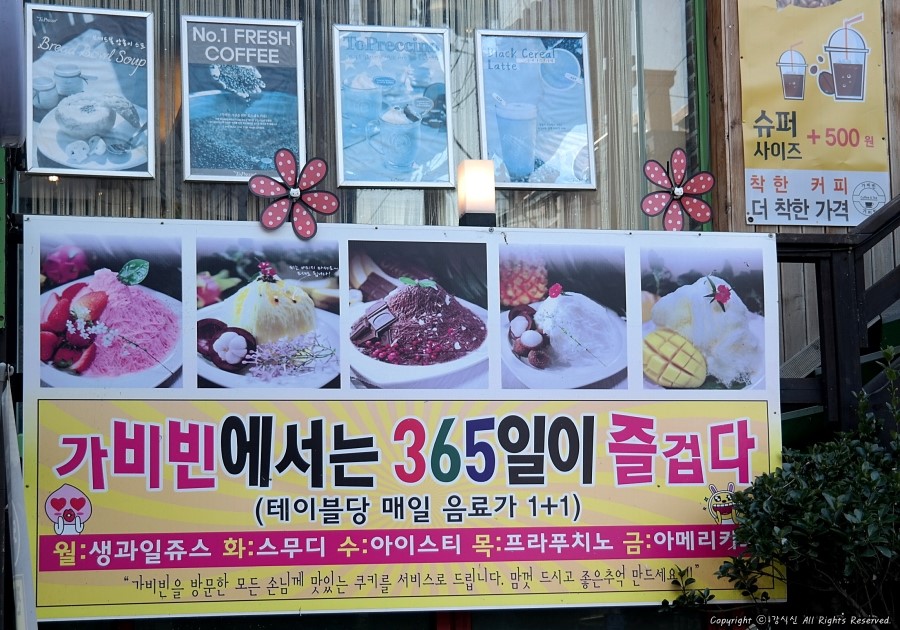 가비빈 이미지
