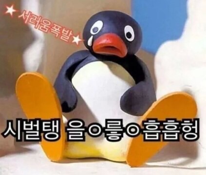 또이 이미지