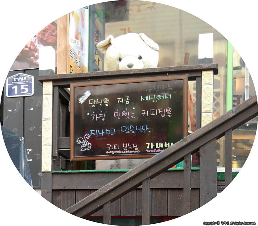 가비빈 이미지