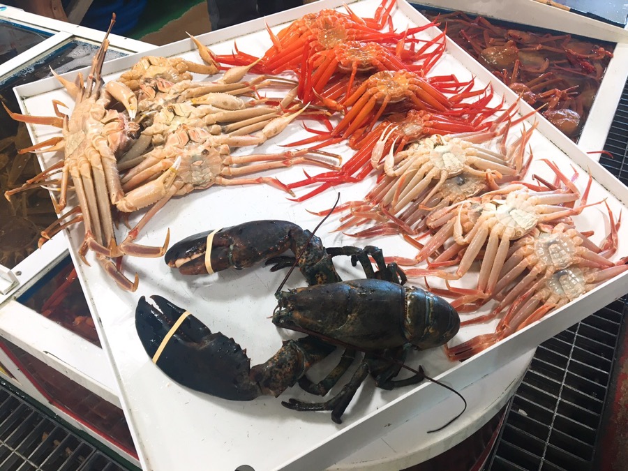 영덕회수산센타 이미지