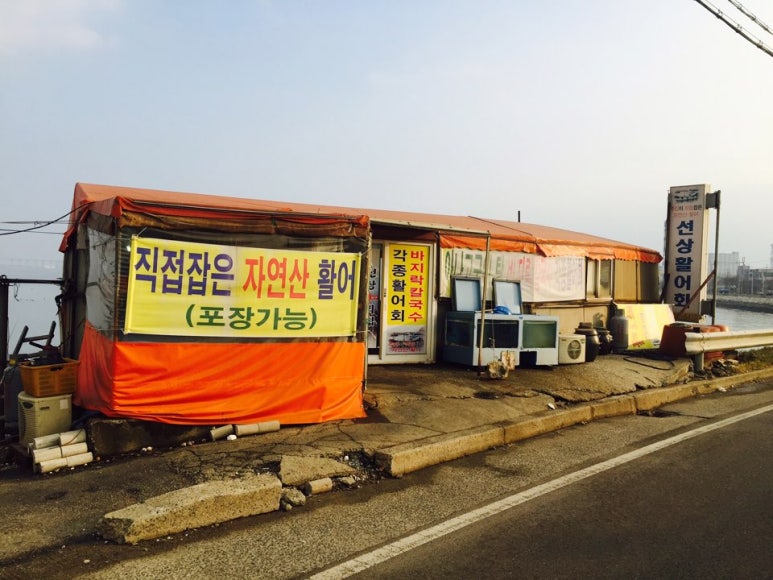 선상활어회 이미지