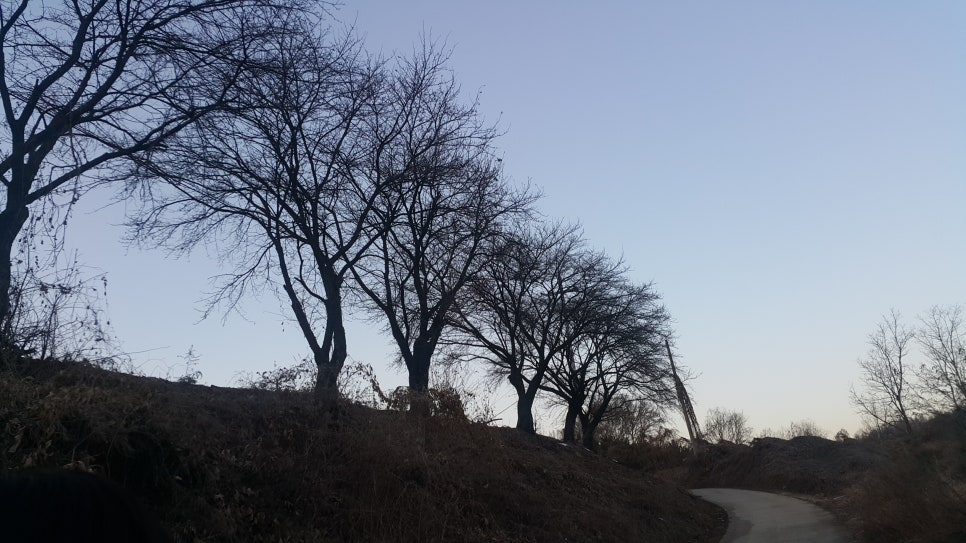 영당구장 이미지