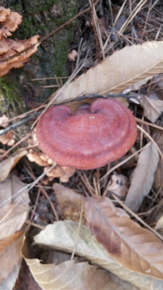 돈달산 이미지