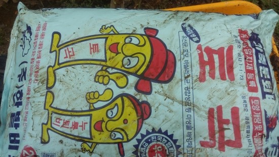 왕베리농원 이미지