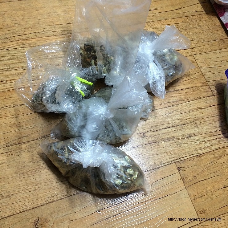 청개구리마미 이미지
