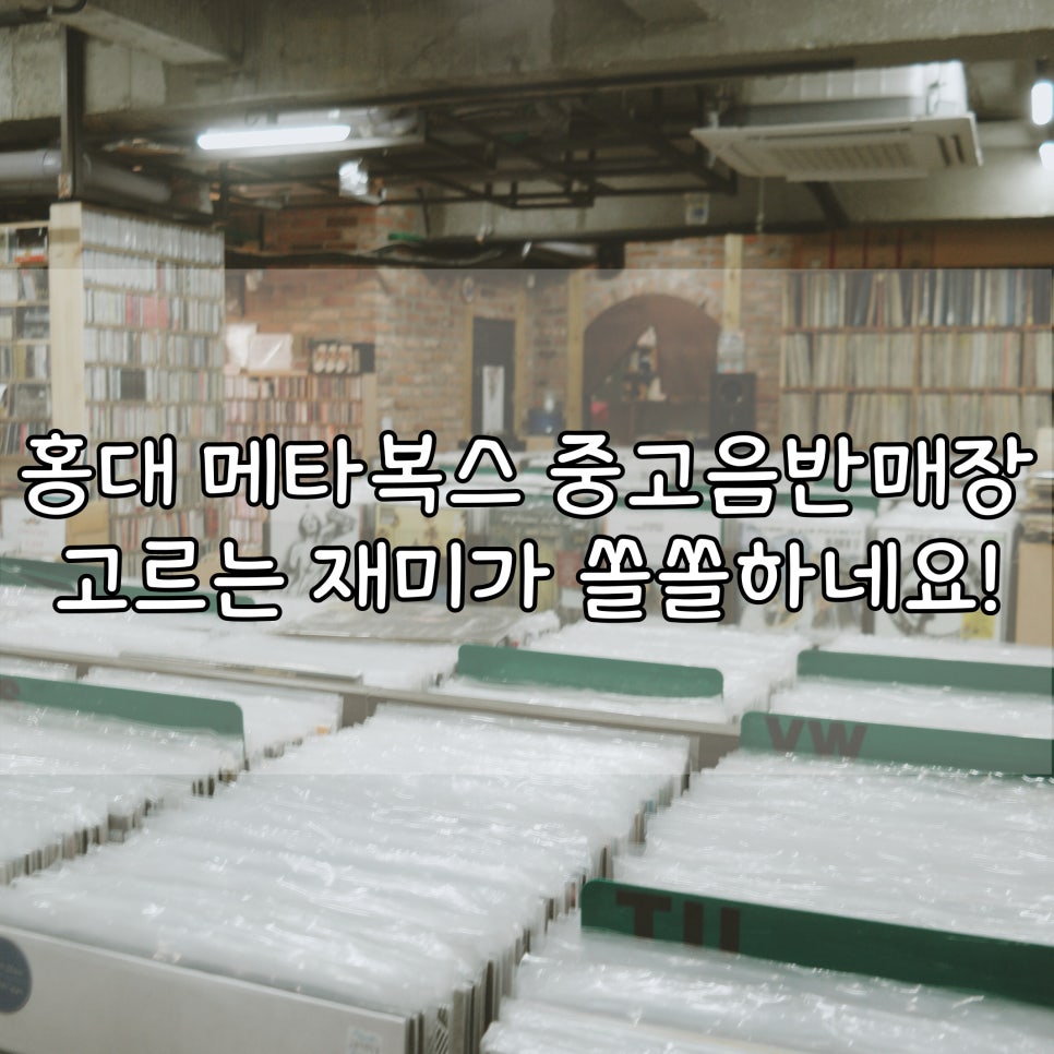 메타복스 이미지