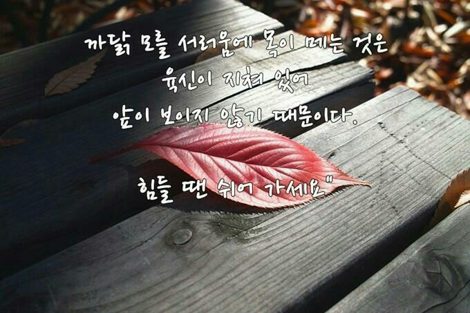 킹스타당구장 이미지