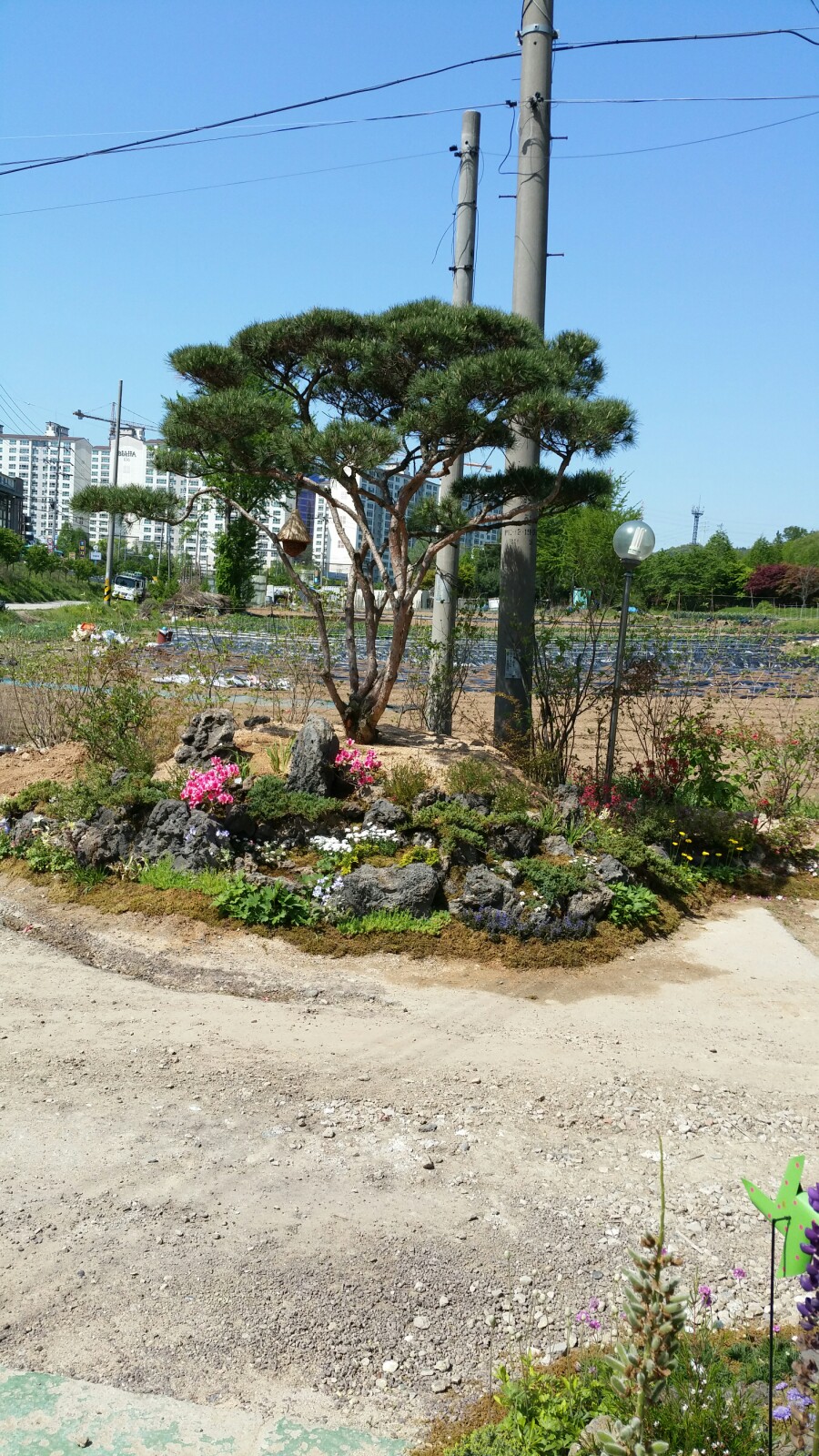 예림조경 이미지