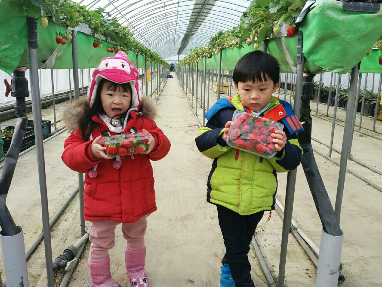 두손사회적협동조합 이미지