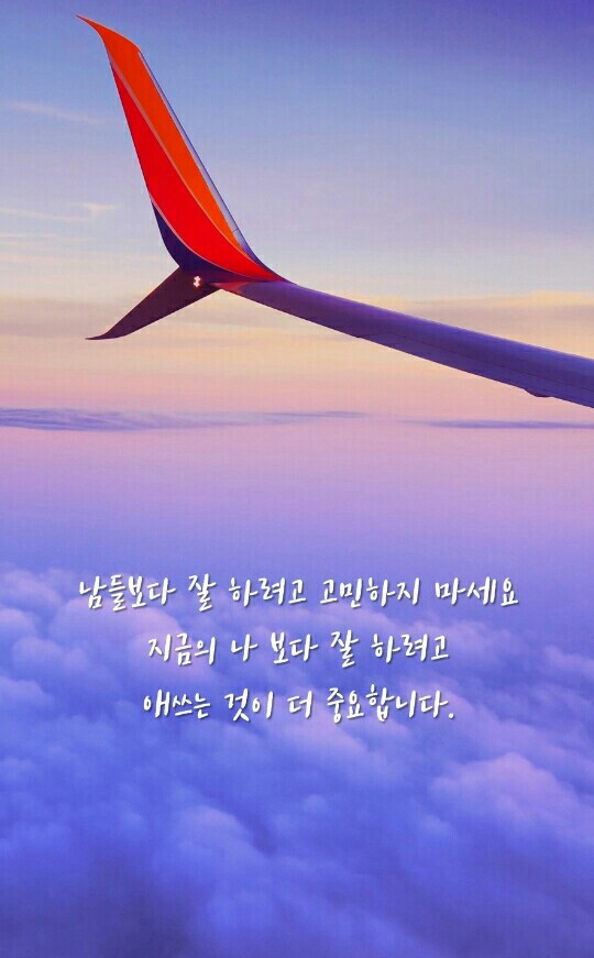 주연공조 이미지