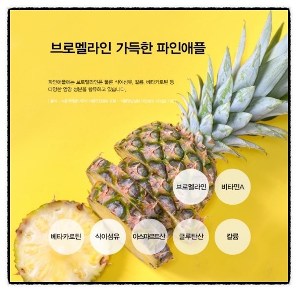 한스이화 이미지