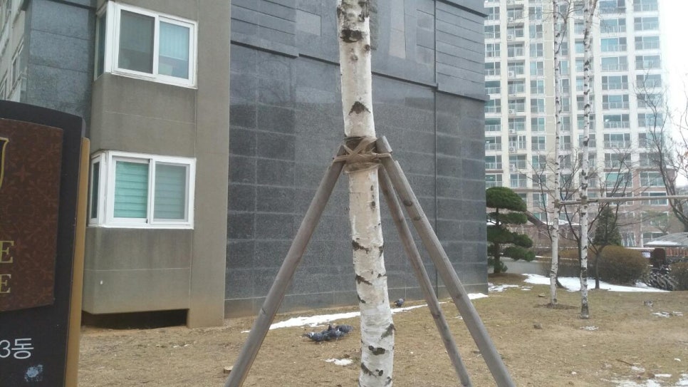 주식회사 상록 이미지