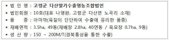 다산딸기수출 이미지