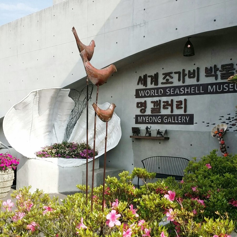 명연숙 이미지