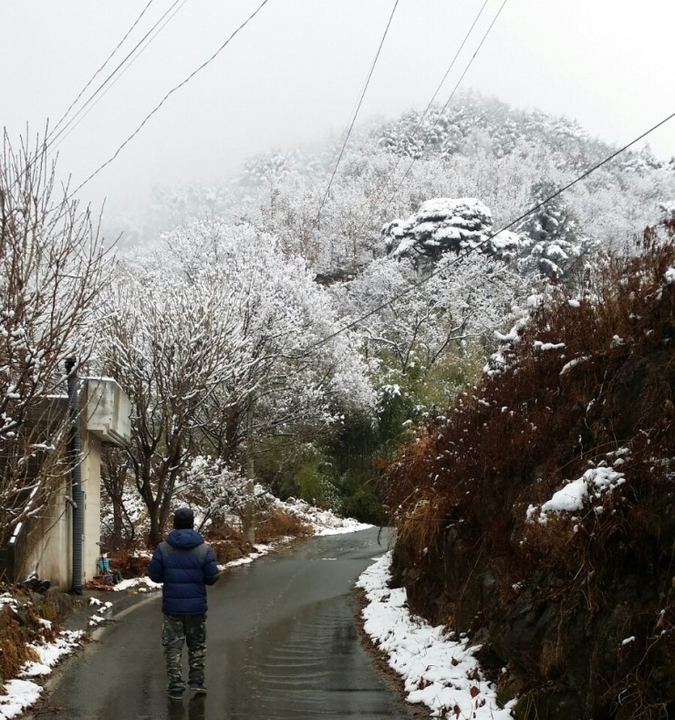 하동스테이펜션 이미지
