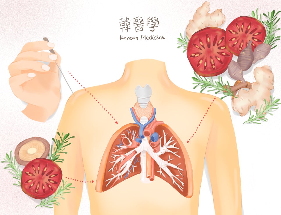 서울경희한의원 이미지