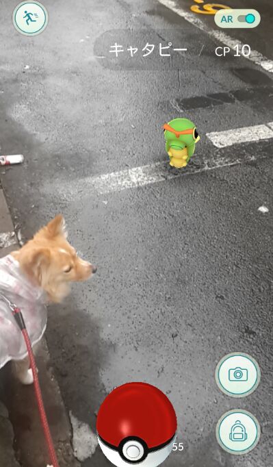 주누리 이미지
