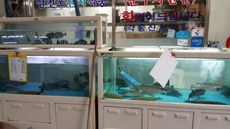 4742회센타 이미지