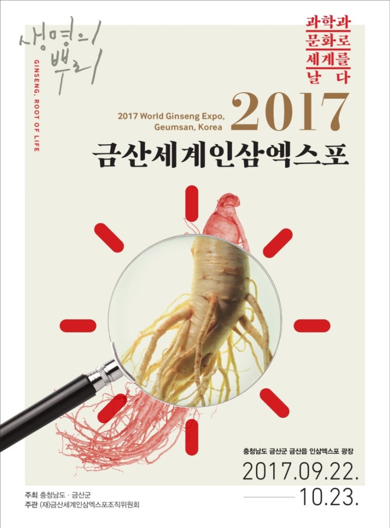 금산인삼 이미지