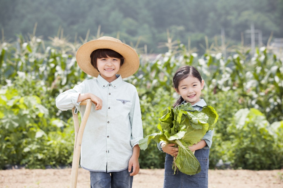 산촌식품 이미지