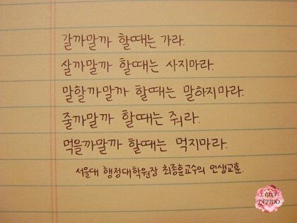 수아네일 이미지