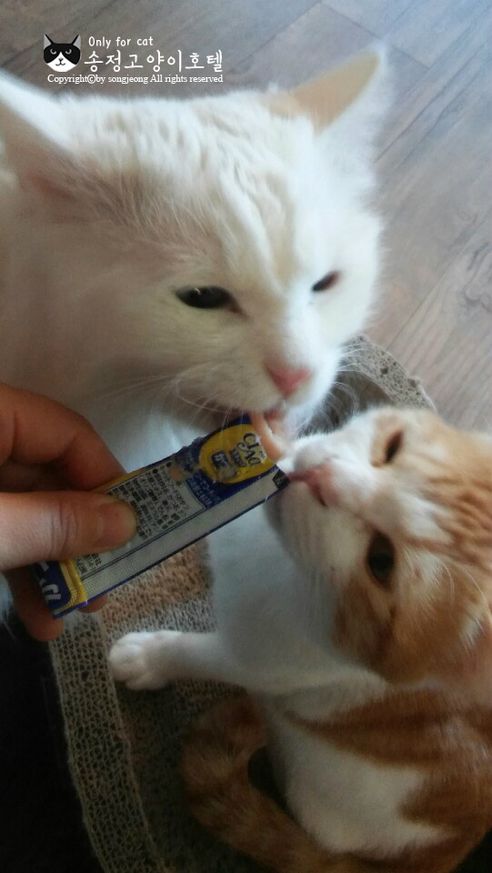 릴리호텔 이미지