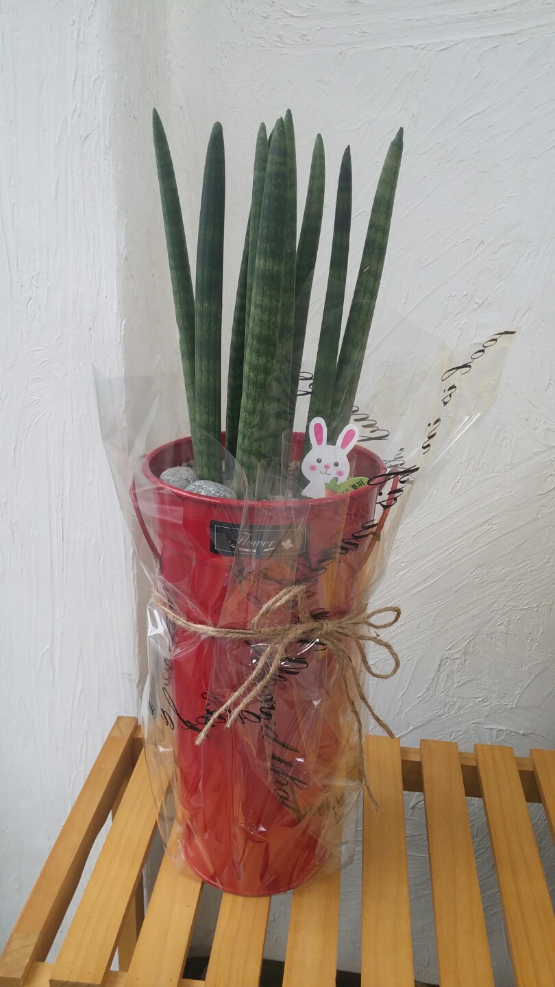 예진네일 이미지
