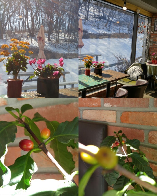 엠보보 이미지
