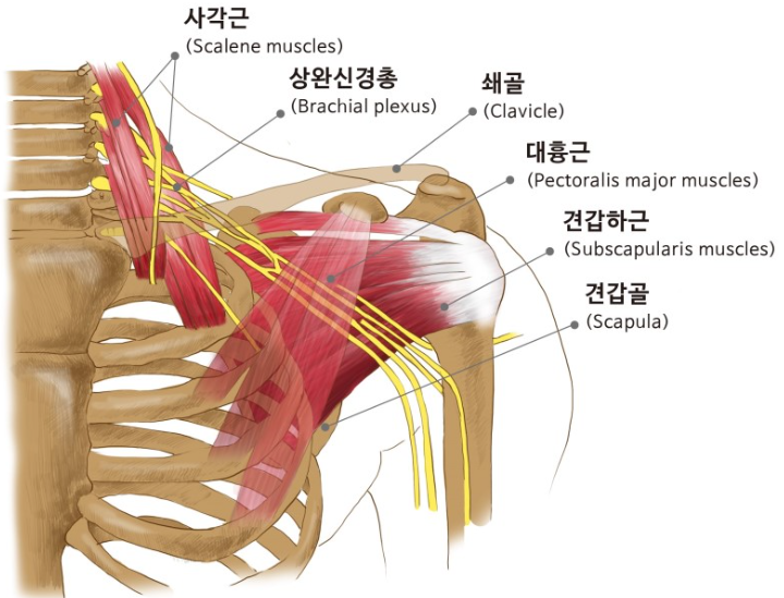 가제트병원 이미지