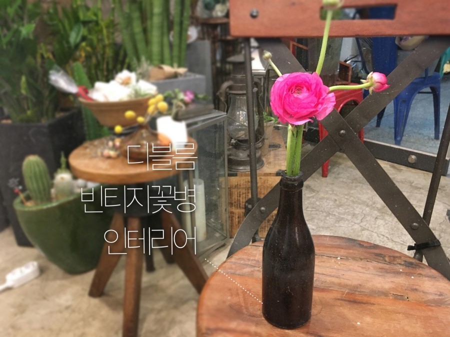 디블름 이미지