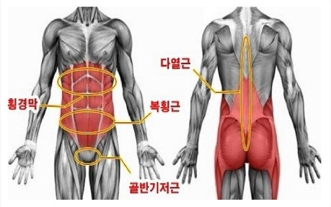 바디코어운동센터 이미지