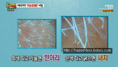 염색나래 이미지