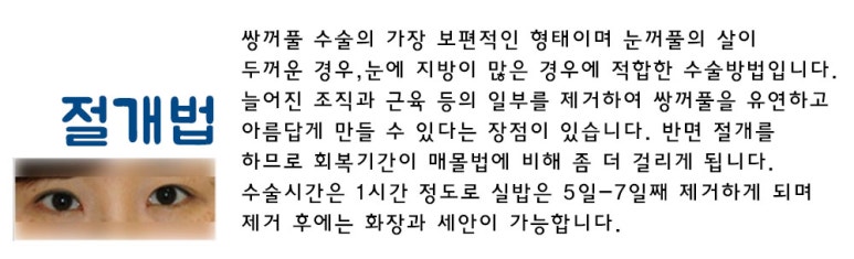 더아름다운성형외과의원 이미지