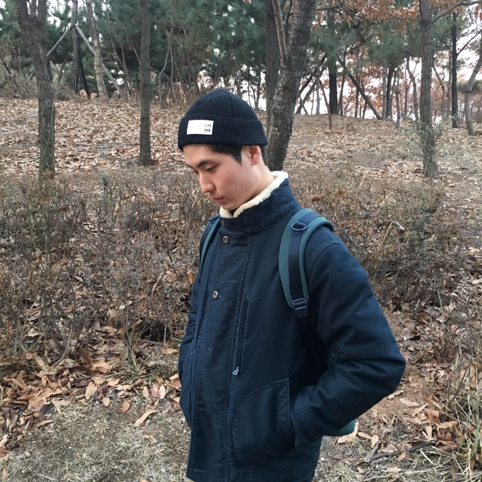 와일드혹스 이미지