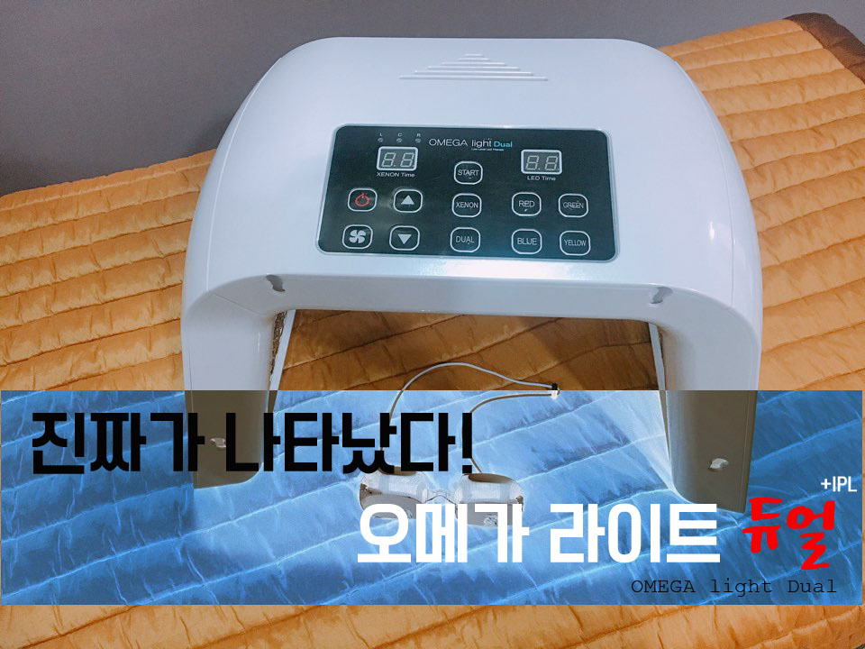 피디티 이미지