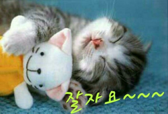 꿈나라 이미지