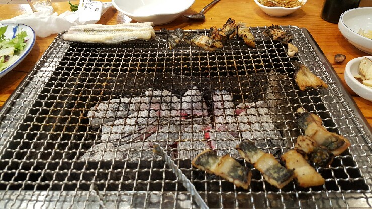 별난장어 이미지