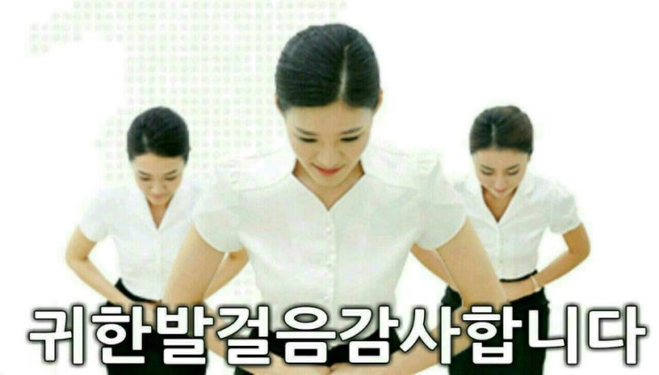 헬피니스 이미지