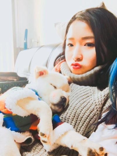 개똥이 이미지