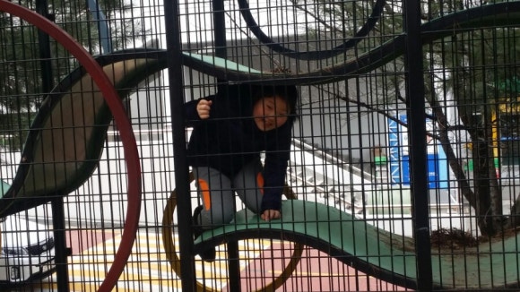 태람 이미지