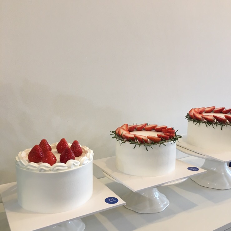 당케마마 이미지