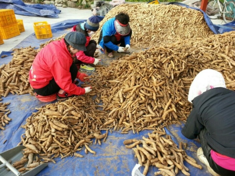 삼도봉천마농장 이미지