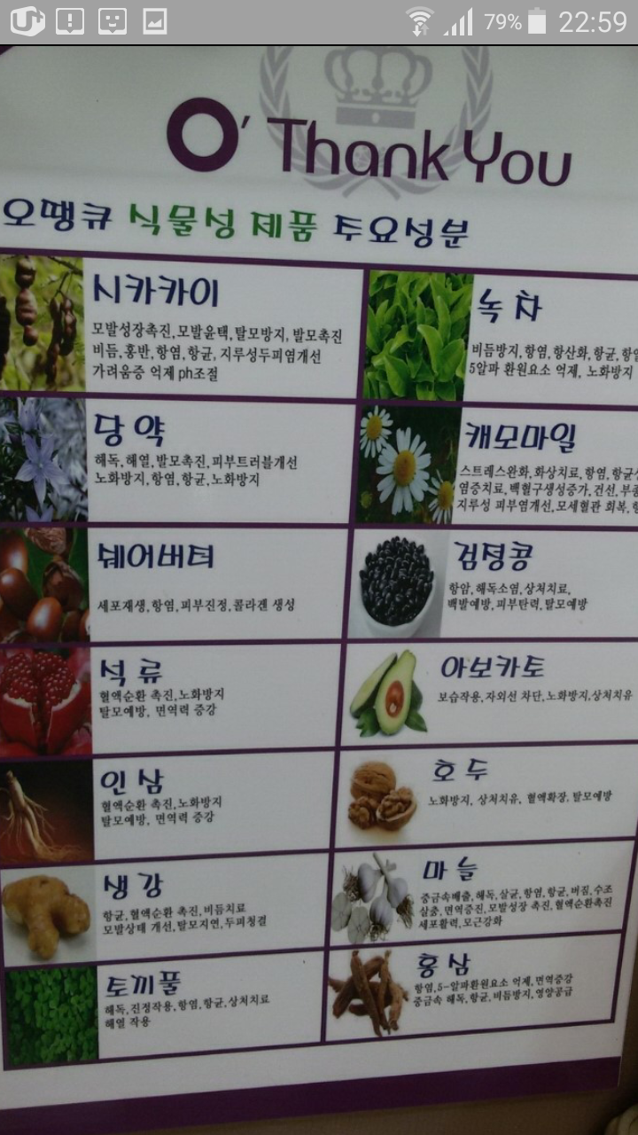 머리염색오땡큐 이미지
