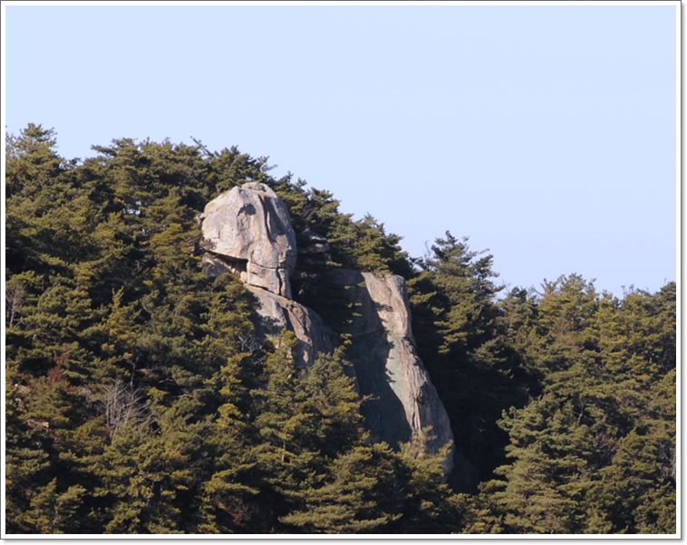 지니상사 이미지