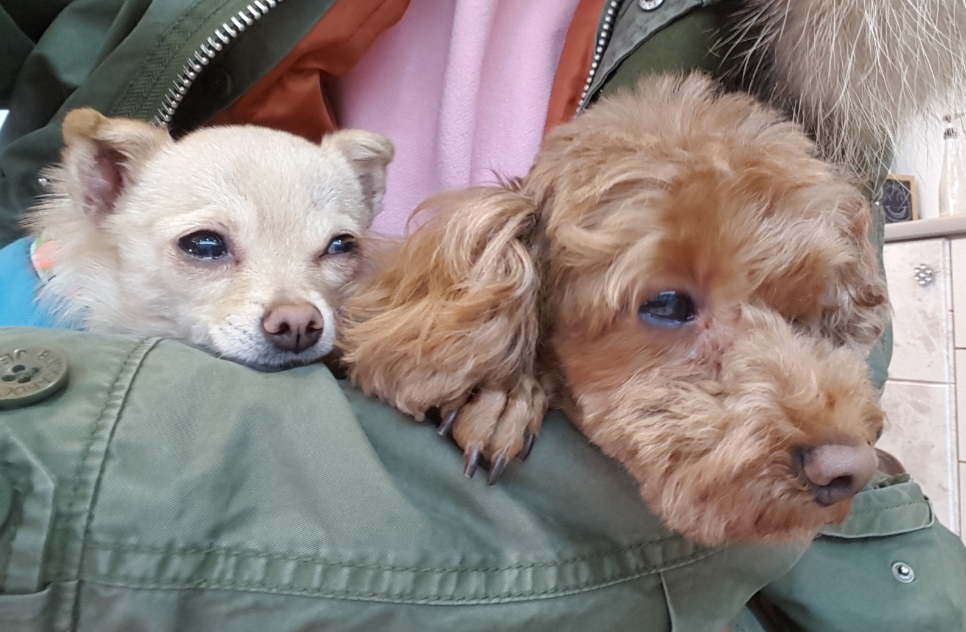 예삐헤어샵 이미지