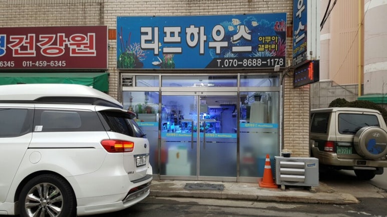 리프하우스 이미지