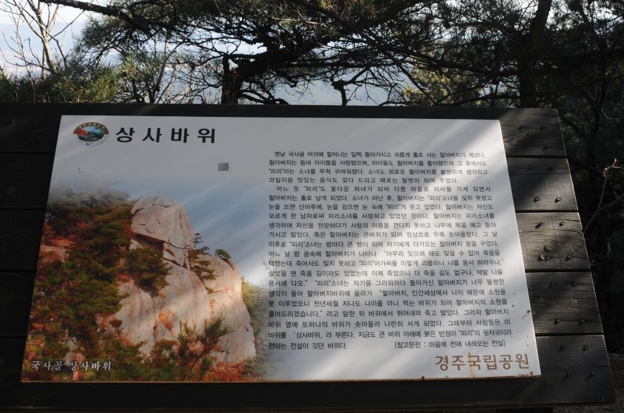 지니상사 이미지